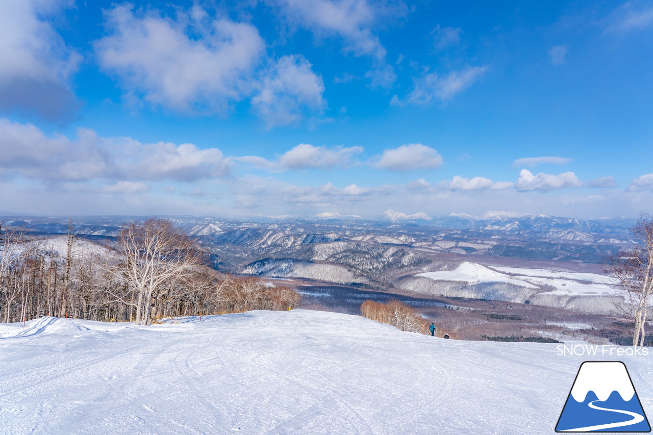 十勝サホロリゾート｜道東の粉雪はレベルが違う☆抵抗感皆無のさらさらパウダースノーへ滑り込め！(*^^*)